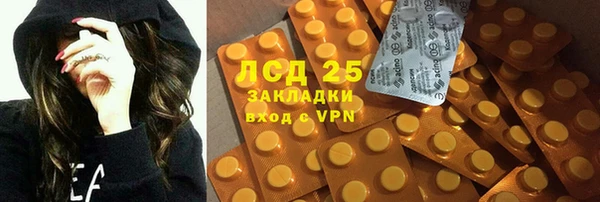 индика Алапаевск