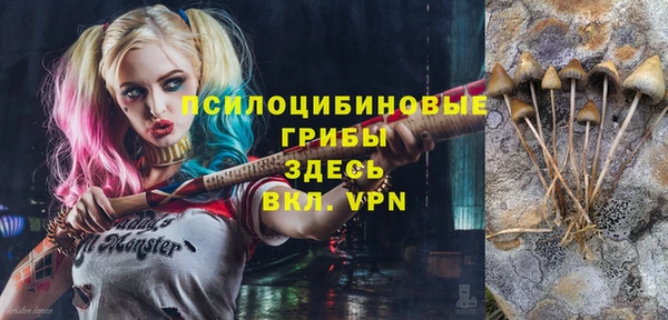 мет Новозыбков