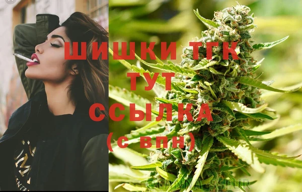 скорость Новодвинск