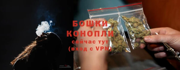 мет Новозыбков